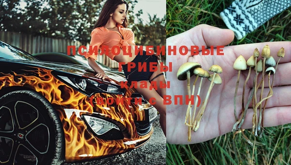 каннабис Заволжск