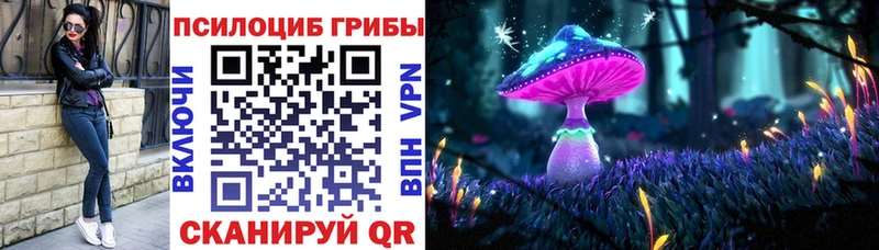Псилоцибиновые грибы прущие грибы Купить закладки Елизово